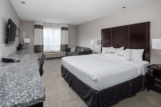 Standard Room, 1 King Bed with Sofa bed
