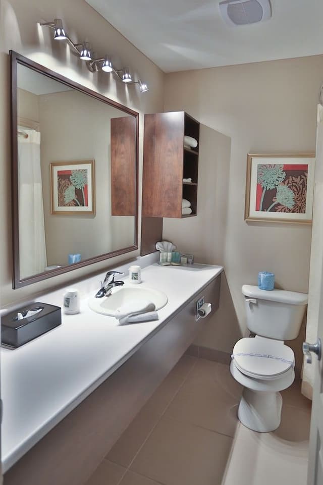 Executive Suite, 1 King Bed, Balcony, Mountain View