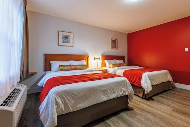 Studio, 2 Queen Beds