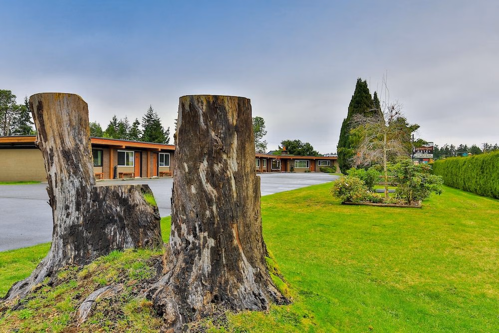 Arbutus Grove Motel4