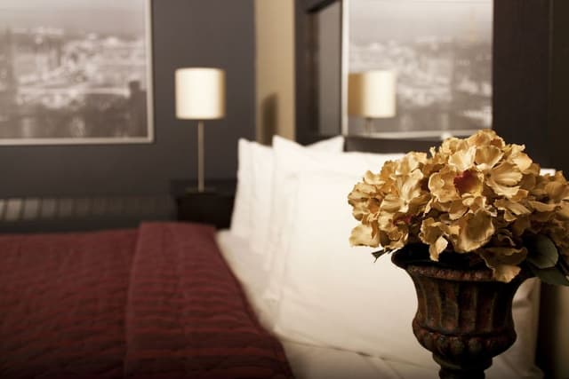 Executive Suite, One King Bed