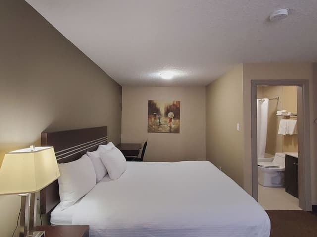 Single Room, 1 King Bed