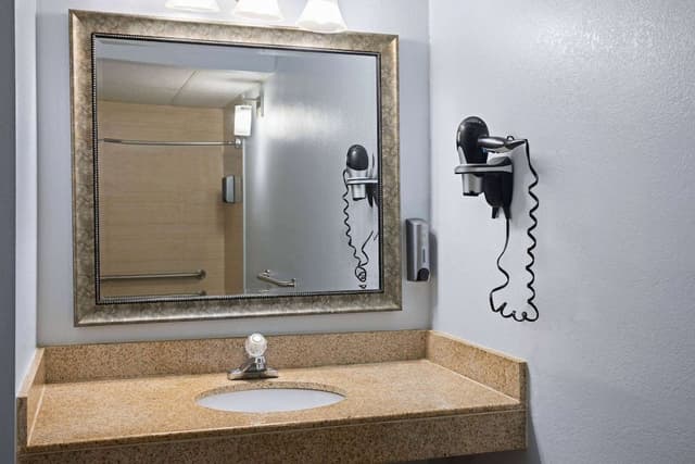 Room, 1 King Bed, Accessible, Non Smoking (Roll-In Shower)