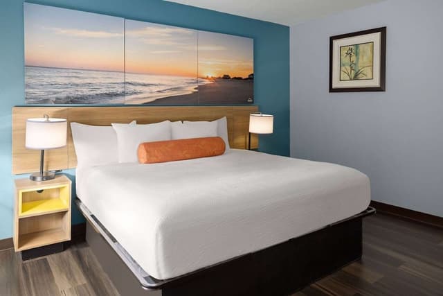 Room, 1 King Bed, Accessible, Non Smoking (Roll-In Shower)