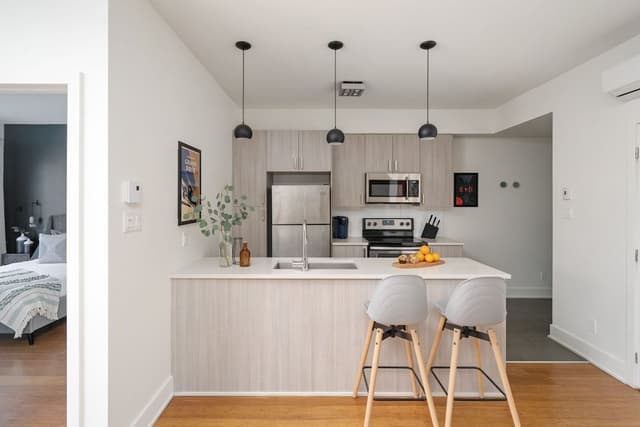 Superior 1 Bedroom Apartment #3