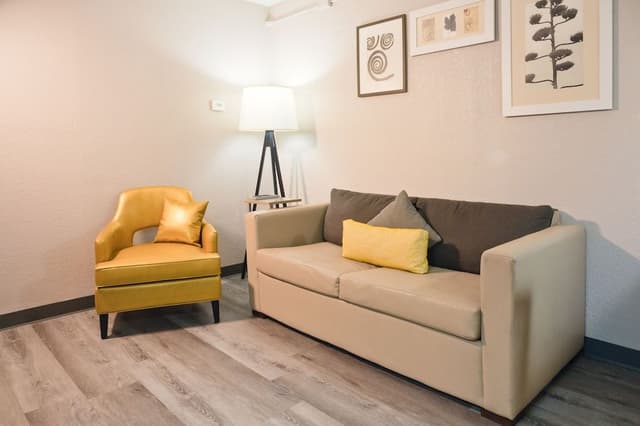 Studio Suite, 1 King Bed