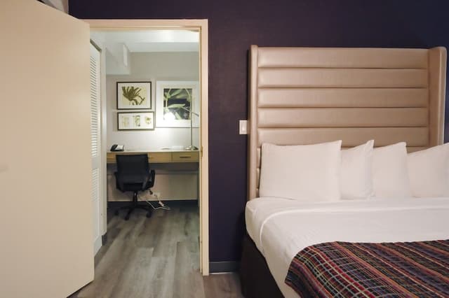 Studio Suite, 2 Queen Beds