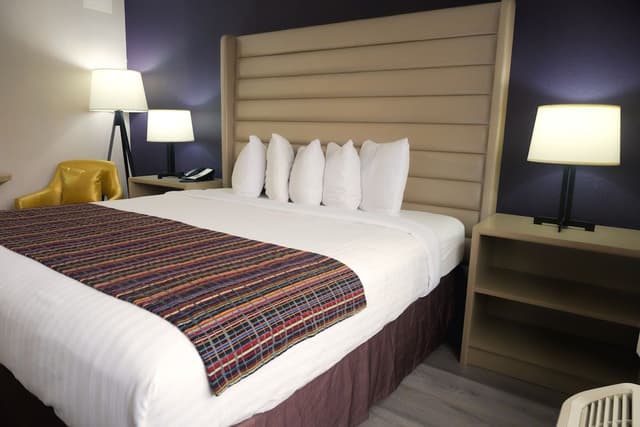 Room, 1 King Bed