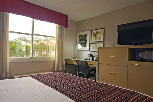 Room, 1 King Bed