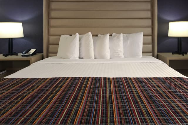 Room, 1 King Bed