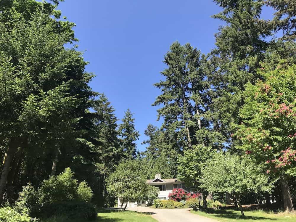 Maple View Bed and Breakfast