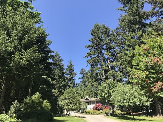 Comfort Room, 1 Queen Bed, Allergy Friendly, Park View