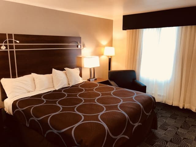 Standard Room, Accessible