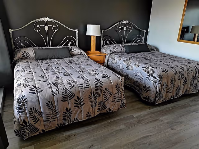 Basic Quadruple Room, 2 Double Beds