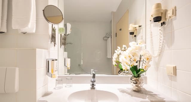 Business Double Room