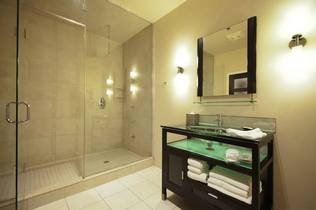 Deluxe Room, 1 King Bed, Steam Shower