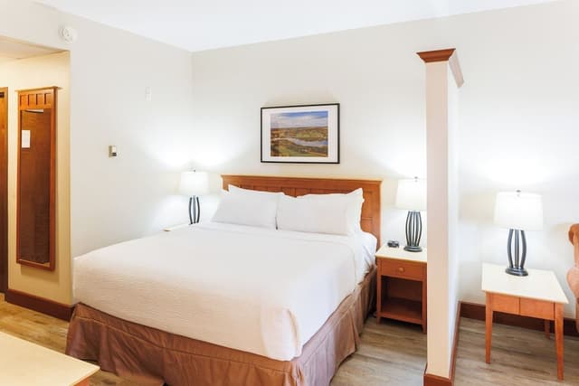 Junior Suite, 1 King Bed with Sofa bed