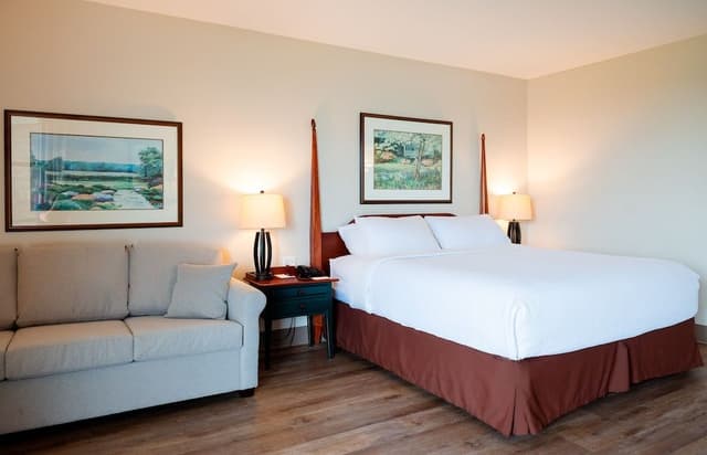 Standard Single Room, 1 King Bed with Sofa bed
