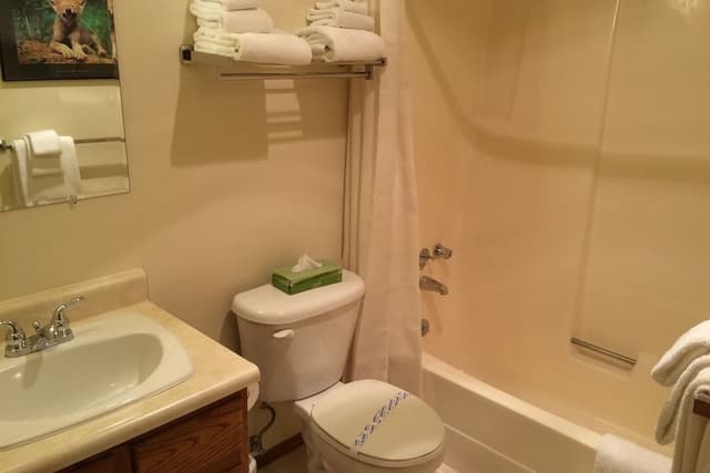 Economy Room (Economy, Double/Murphy Bed)