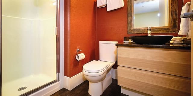 Deluxe Room, 1 King Bed