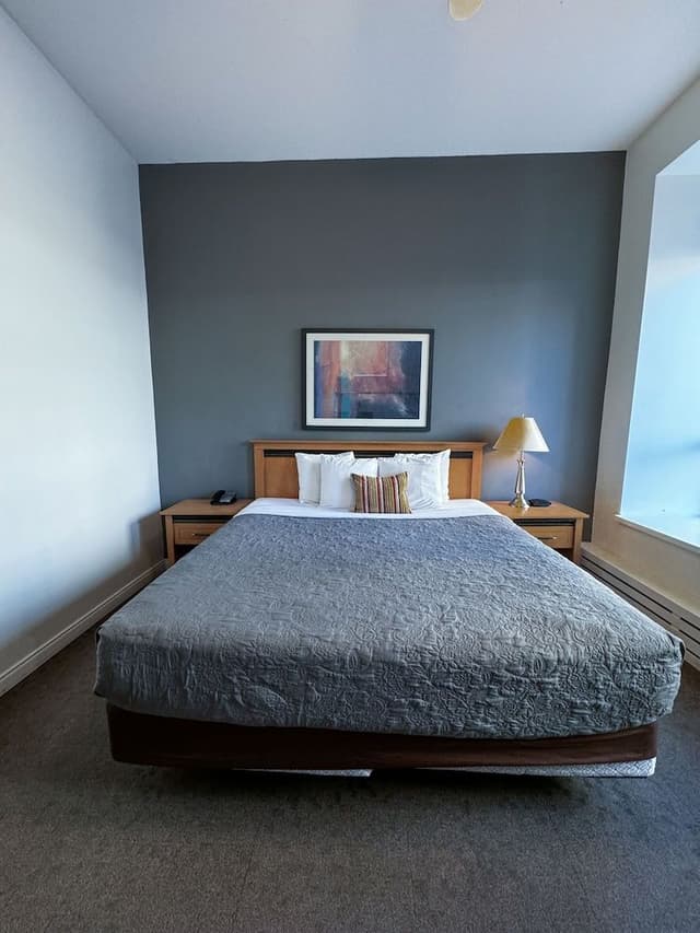 Standard Room, 1 King Bed (Rear Facing)