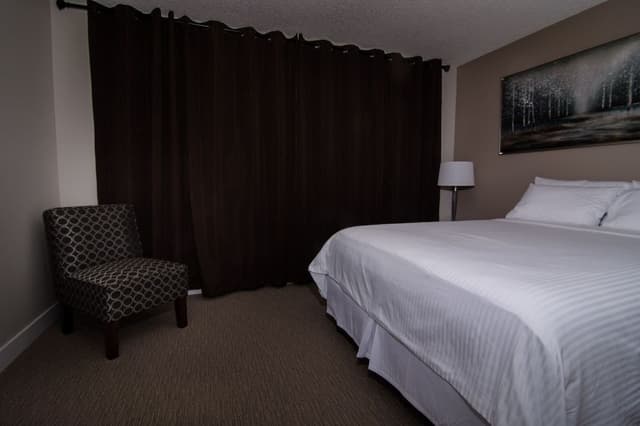 Suite, 1 Queen Bed