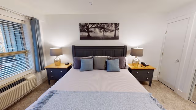 Condo, 1 Bedroom (# 305)