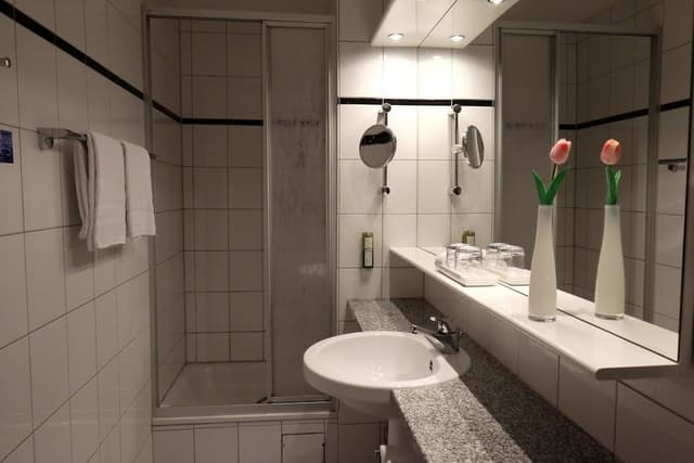Business Plus Single Room