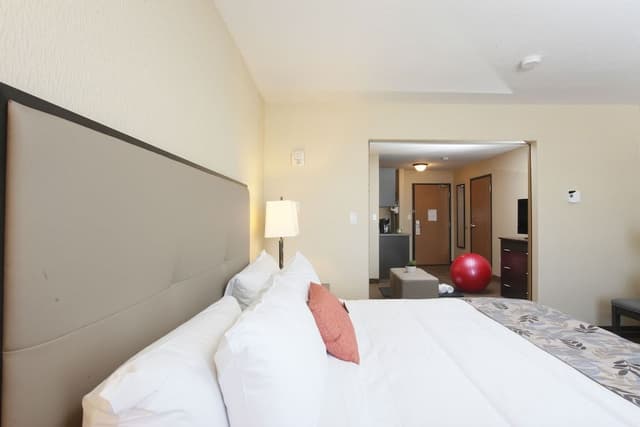 Standard Suite, 1 King Bed with Sofa bed