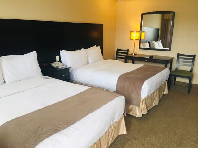 Standard Room, 2 Double Beds
