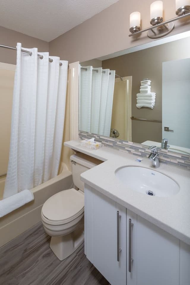 Suite, 1 Bedroom, Kitchen