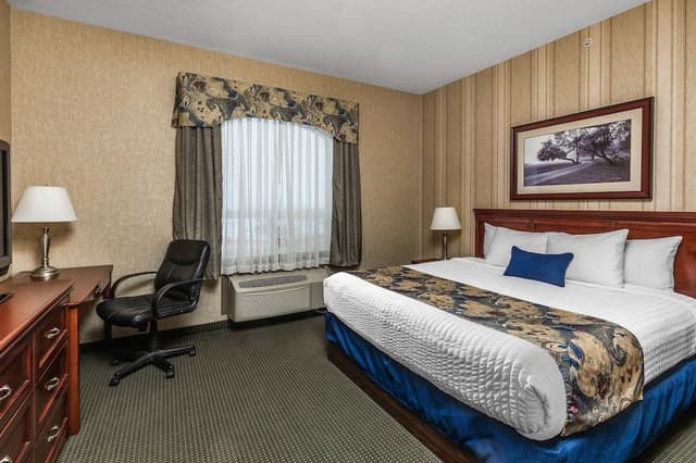 Standard Room, 1 King Bed, Kitchenette