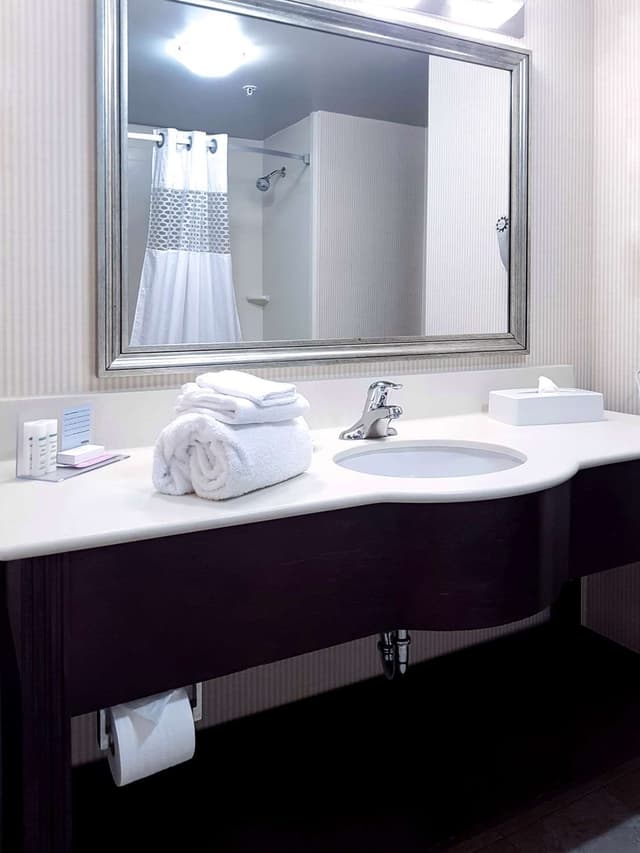 1 KING SUITE WITH SOFABED NONSMOKING