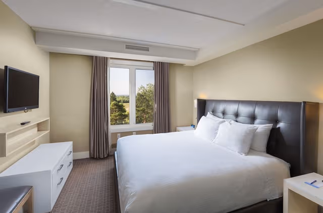 1 Bedroom Suite, 1 King Bed with Sofabed