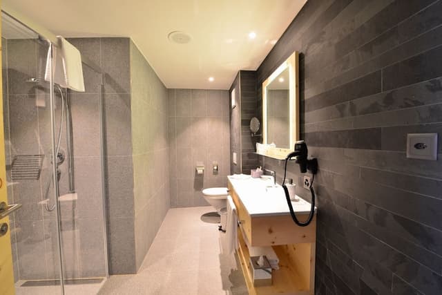 Double Room, Mountain View (Style)