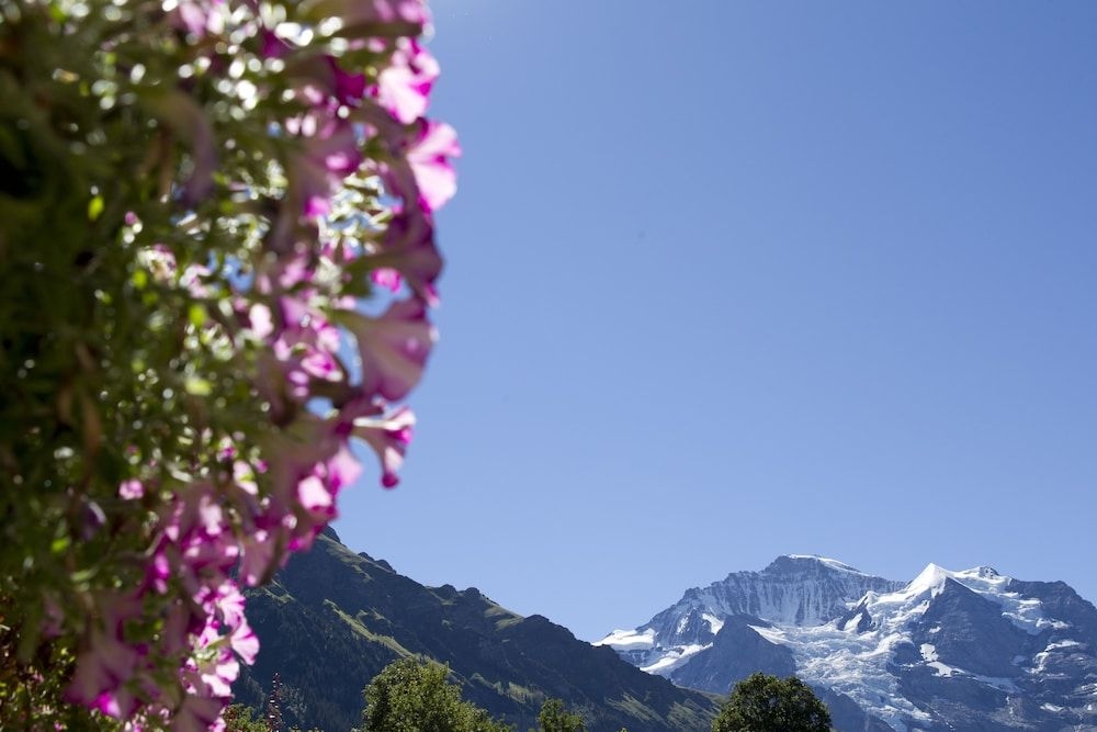 Chalet Miravalle4