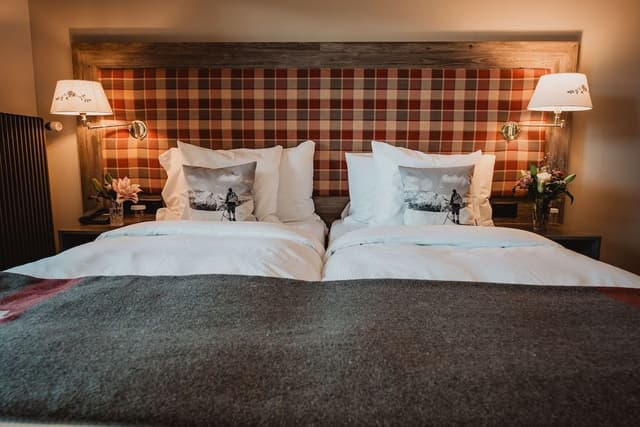 Double or Twin Room (Panorama)