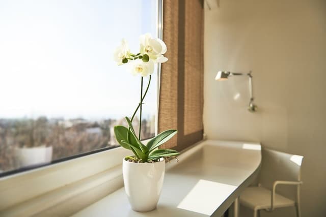 Double or Twin Room, Lake View