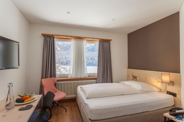 Single Room, Lake View