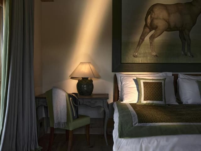 Superior King Room