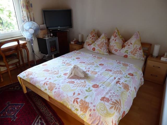 Single Room, Shared Bathroom