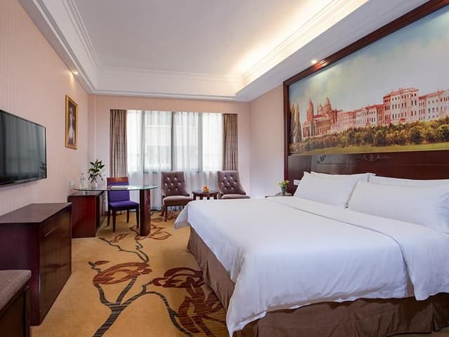 Vienna - Deluxe Room