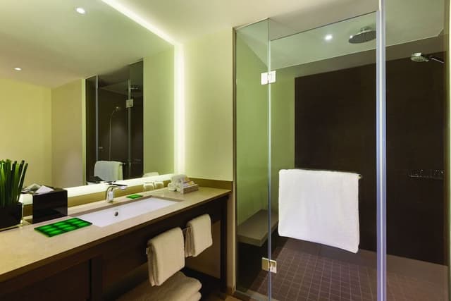 Specialty Room with 1 King Bed and Sofa Bed