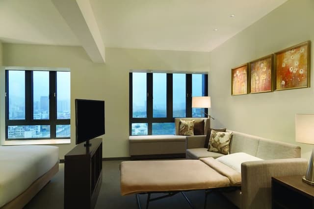 Specialty Room with 1 King Bed and Sofa Bed