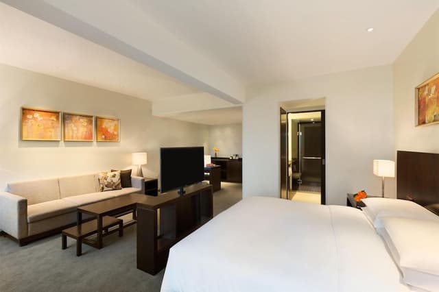 Specialty Room with 1 King Bed and Sofa Bed