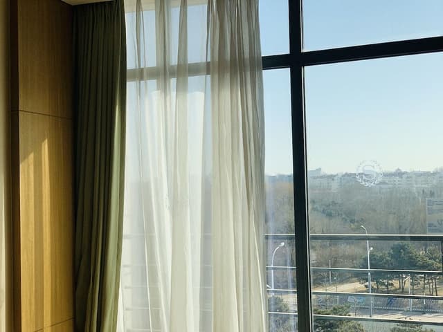 Family Studio Suite, 1 Bedroom