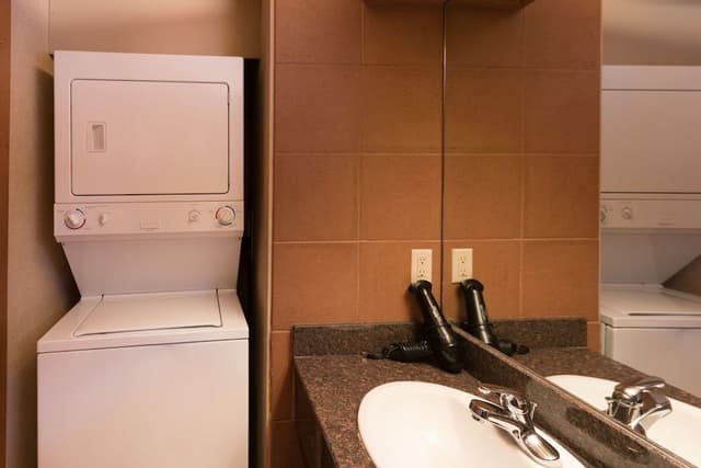 Premier Condo (2 Bedroom Loft- 4 Q)