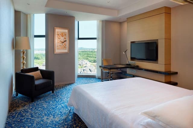 Room, 1 King Bed