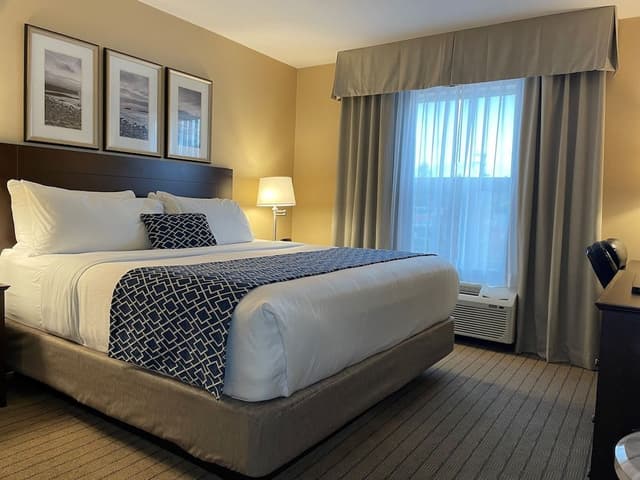 Suite, 1 King Bed with Sofa bed, Non Smoking, Jetted Tub
