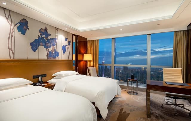 Deluxe King Or Twin Room